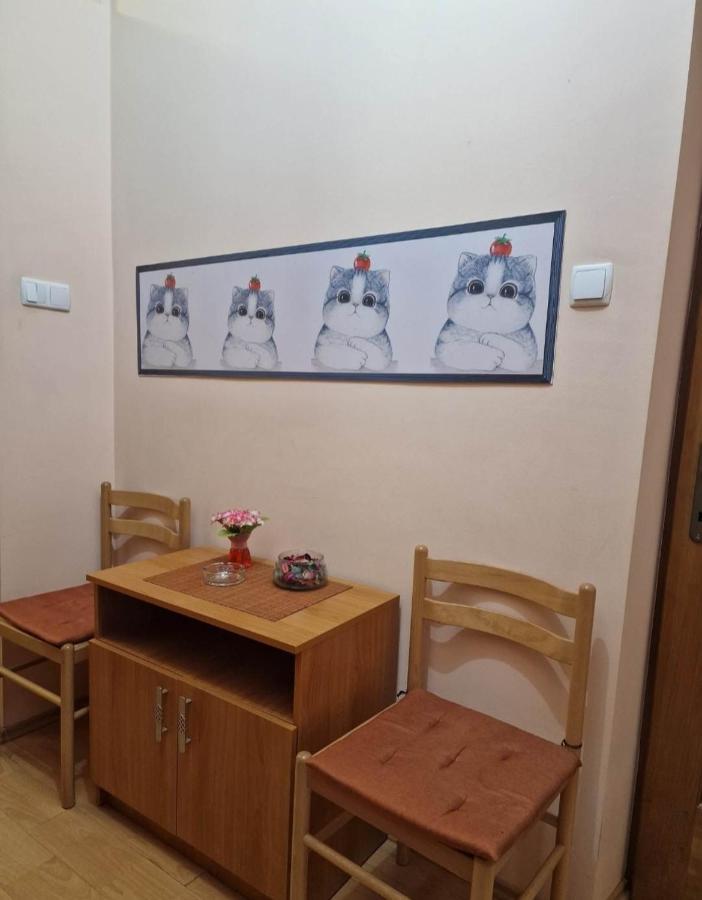 Apartament Central Traian Mosoiu , Parcare Proprie คลูจ-นาโปกา ภายนอก รูปภาพ